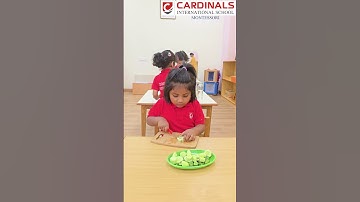 Montessori Practical Life Activities | Building Independence & Real-World Skills