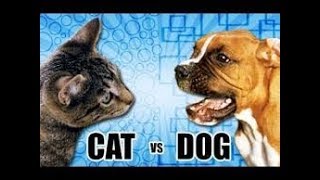 Angry Cats VS Dogs Funny Compilation 2017