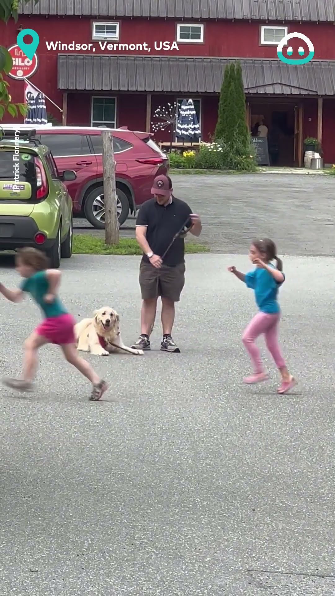 Stubborn Golden Retriever Doesn't Want To Leave || ViralHog