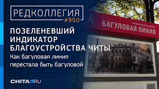 Зеленая лакмусовая бумажка: Когда багуловую линию опять сделают багуловой