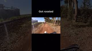 250 and doing anything #twostroke #fourstroke #race #dirt