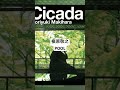 槇原敬之 / POOL (1999)