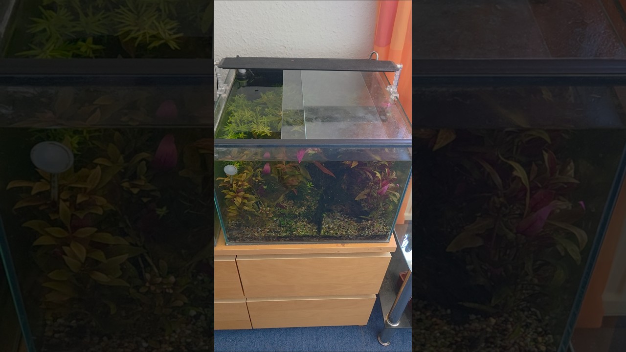 Darkmode to prevent overheating 