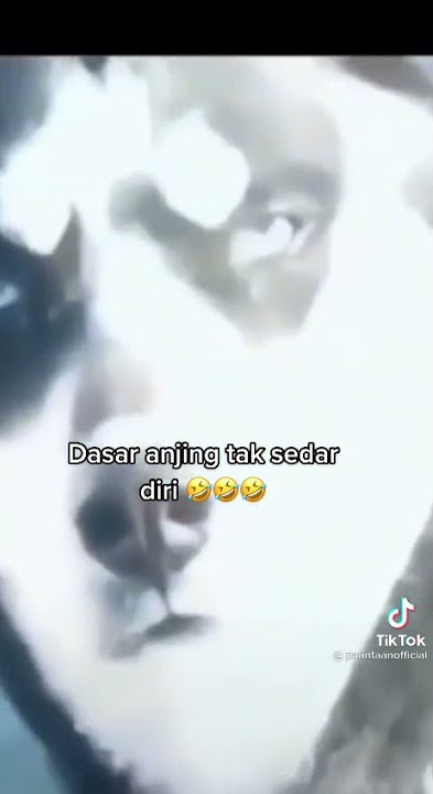 tolong sukrip dan lek vidio ini lucu 😁😁😁😁(3)