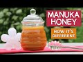 Manuka honey benefits  the superfood from new zealand