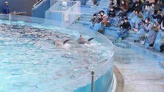 みさき公園、31日に閉園　親子連れら名残惜しむ
