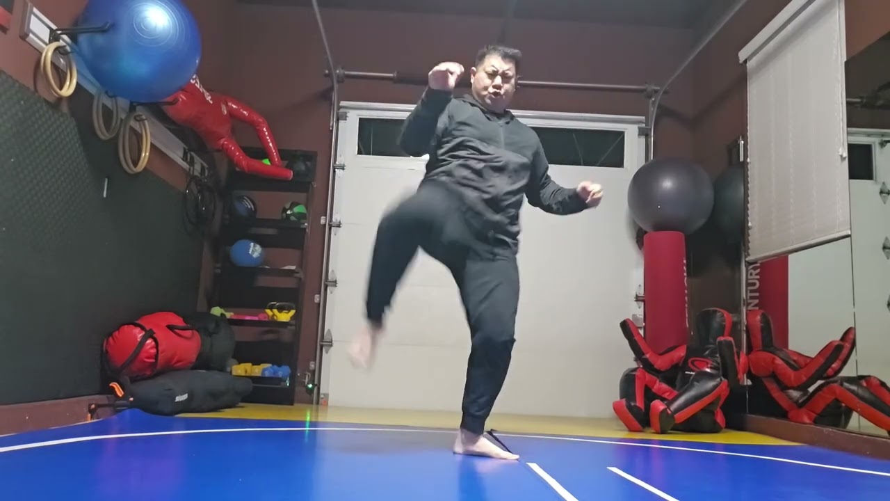 WTD Crescento Kick to Lotus Kick sequential 