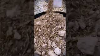 A simple way to prepare a good soil medium with a mixture of dry leaves #shorts