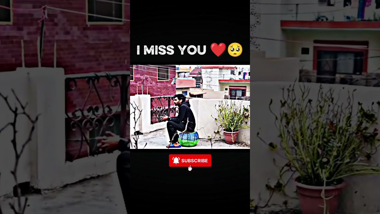 leo is no more 🥺💔 I miss you Leo 😭