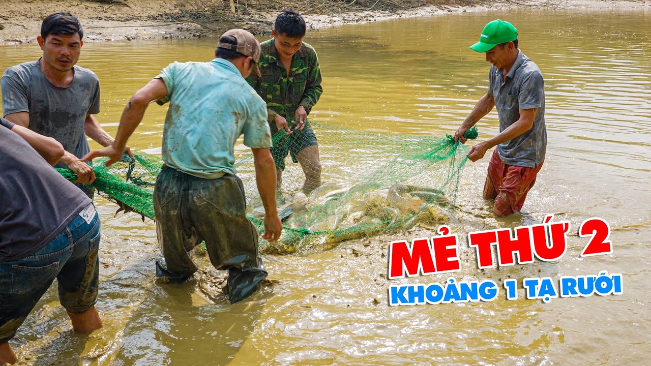 AO CÁ 28 TRIỆU - MẺ THỨ 2 KHÁ ỔN, ĐƯỢC KHOẢNG 1 TẠ RƯỠI