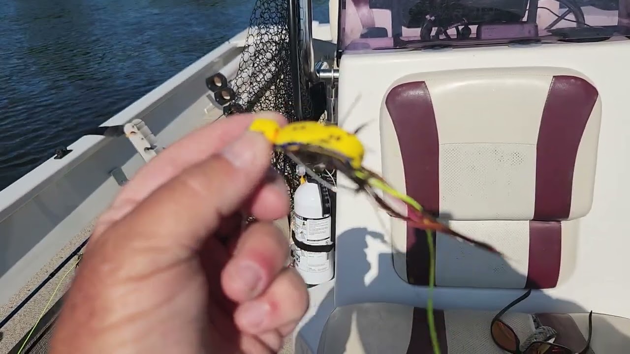 Best flies for bass on lake fork. Love those gurglers. flyfishfork.com Lake Fork Fly Fishing