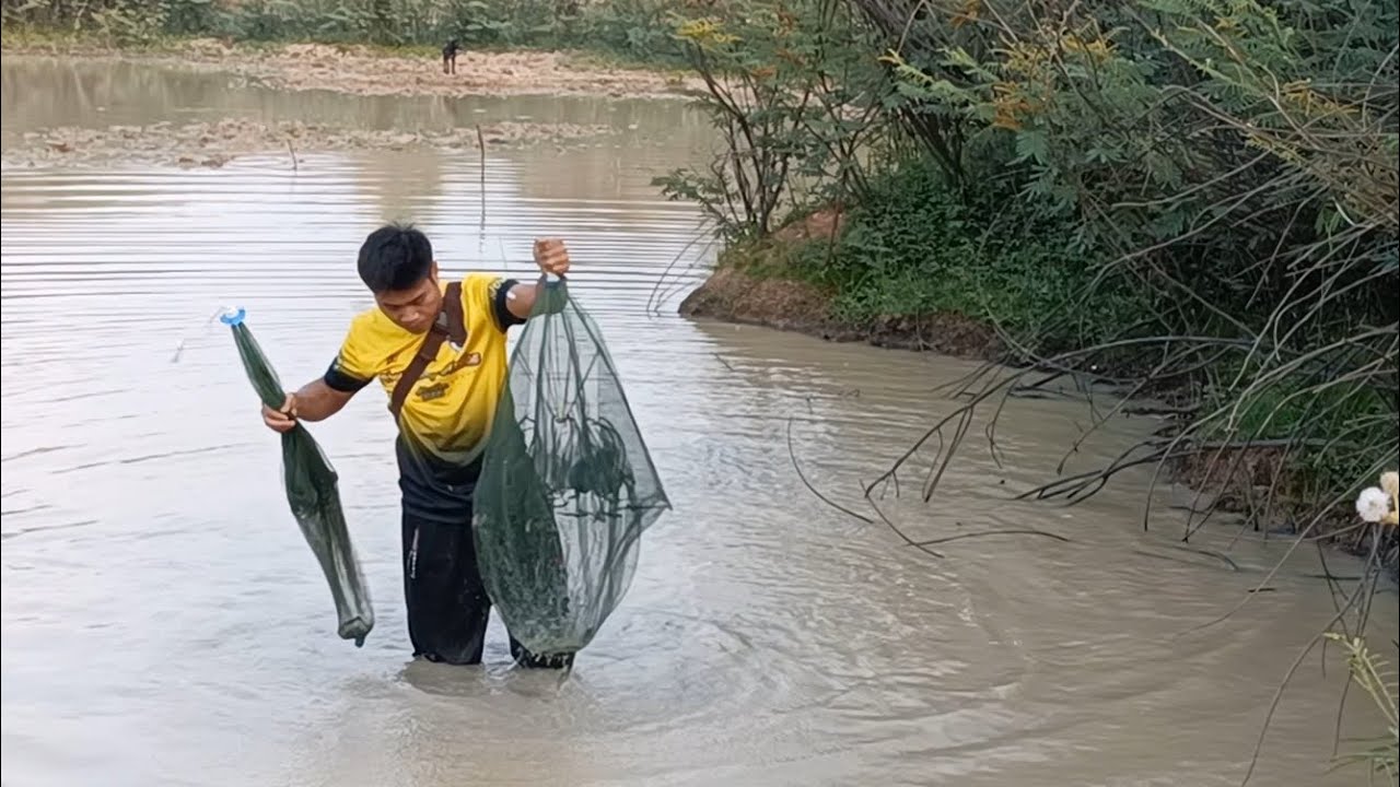 4 มีนาคม 2569#ยามดักกุ้งฝอย@BaoPongบ่าวป๋อง