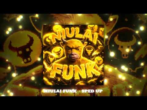 NIULAI FUNK - TORBAHED& HICKD4D (SPED UP) [OFFICIAL MUSIC]