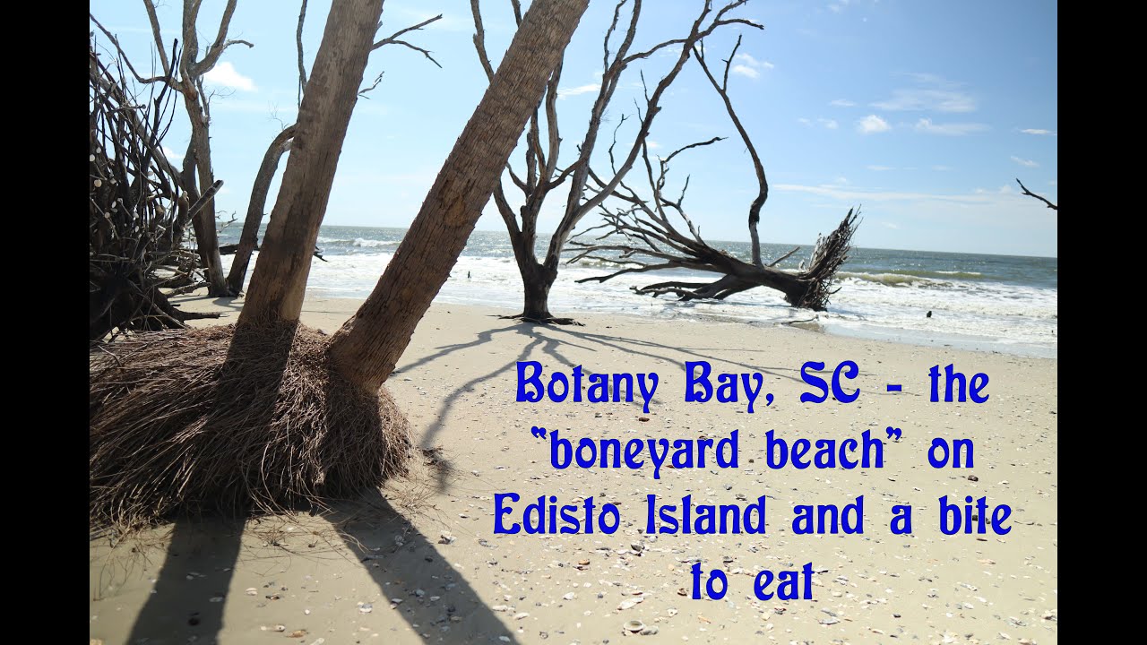 Botany Bay, Edisto Island. And where can we go to eat on the island