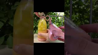 Fresh juicey smoothie #juiceblender #juiceconcentrate #fruitsmoothie