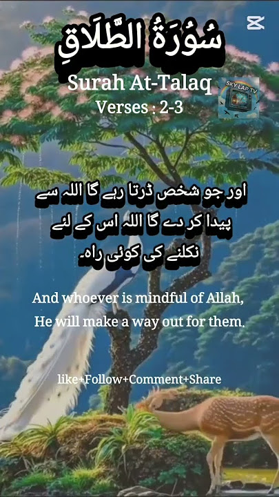 Surah At-Talaq Verses:2-3 #urduenglishtranslation #quran_tilawat #foryou #viralvideo #fyp #quotes