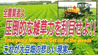 全農家必見っっ 圧倒的な『雑草力』を見よっっ！！これが大豆畑の悲しい現実…。Emergency Mission! Eliminate the overwhelming amount of weeds!