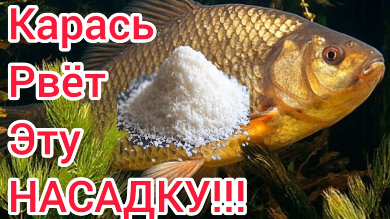 Как поймать много РЫБЫ.Насадка ,где Карась,Карп, Сазан, Плотва будет у вас на крючке.