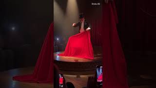 #magic #circus #amazing #mindblowing #magictrick #viral #trending #ai #magician #aivideo #shorts