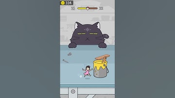 HIDE AND SEEK: CAT ESCAPE LEVEL 21