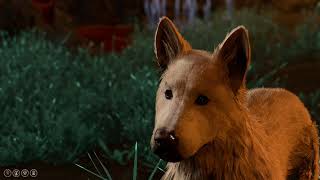 Playing Fetch with Scratch in Baldur's Gate 3 *ACHIEVEMENT*