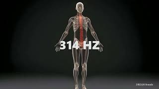 314 HZ - Whole Body Healing