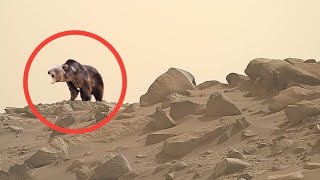 NASA Mars Perseverance Rover Captured New 4k Video of Mars: Sol 1081 | Mars 4k Video | Mars In 4k