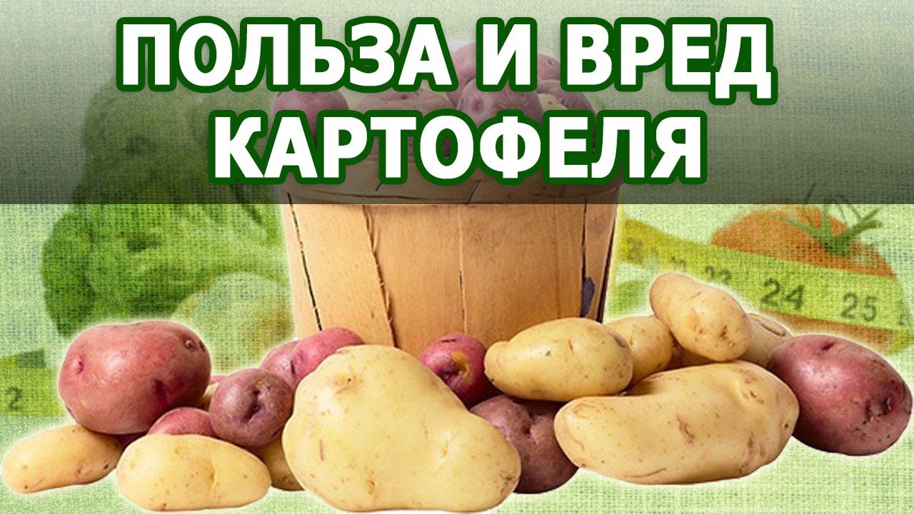 В каких продуктах есть картофель. Картофель полезен для организма. Польза картофеля. Полезные качества картошки. Полезные вещества в картошке.