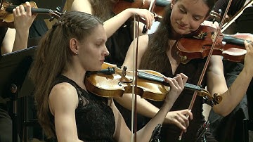 Tchaikovsky - Serenade for Strings - III-Elegie & IV-Finale | Chuhei Iwasaki