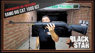 GAMO BIG CAT 1000 IGT Air Rifle Review 5.5mm