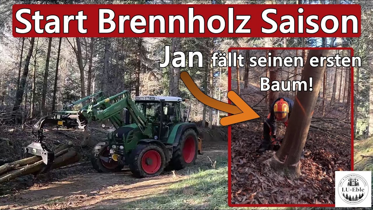 Start Brennholz Saison - Jan fällt seinen ersten Baum! | Fendt 312 Vario, Ritter D71 und RGS45/1300