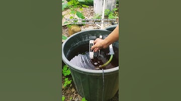 Buat ukur apa sih TDS meter di pertanian hidroponik? #hidroponik #tds #ph #abmix