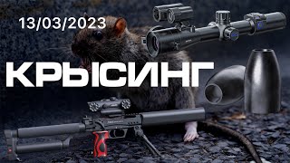 PARD DS35LRF,EDgun Leshiy2, Ночная охота на крыс,Night hunting in rats!