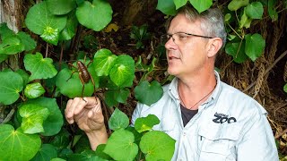 Richard reflects on Auckland Zoo&#39;s conservation mahi (work)