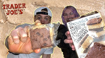 TRADER JOES ICE CREAM REVEIW!! Coffee Brownie Crisp Ice Cream Sandwiches!