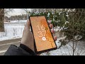 2 месяца с Google Pixel 6 | Обзор и опыт использования