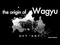 #003 The Origin of WAGYU - 幻の牛「見島牛」