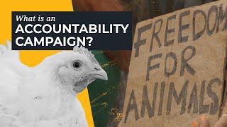 What is an Accountability Campaign
