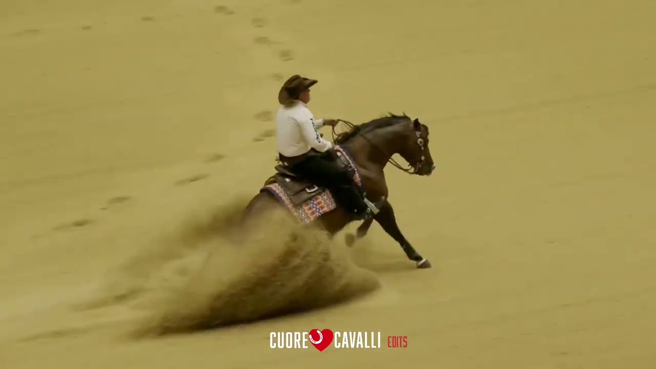 The Run For A Million 2024 🥉 Dropp / Andrea Fappani 227.50 ($90,000)