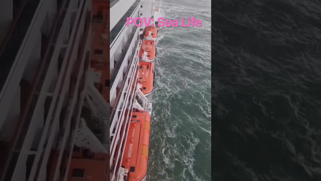 Life at Sea #fyp #cruise #travel #sea
