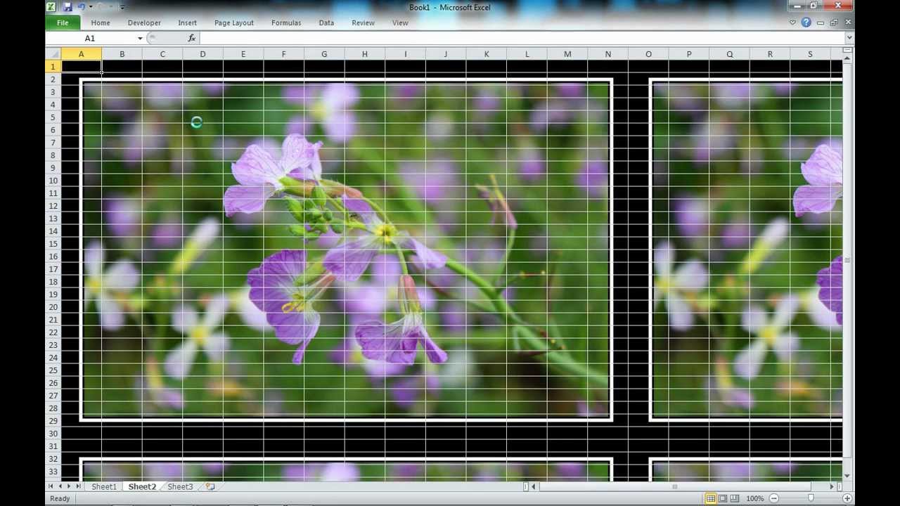 Video Tutorial How To Add A Background Image In Excel YouTube