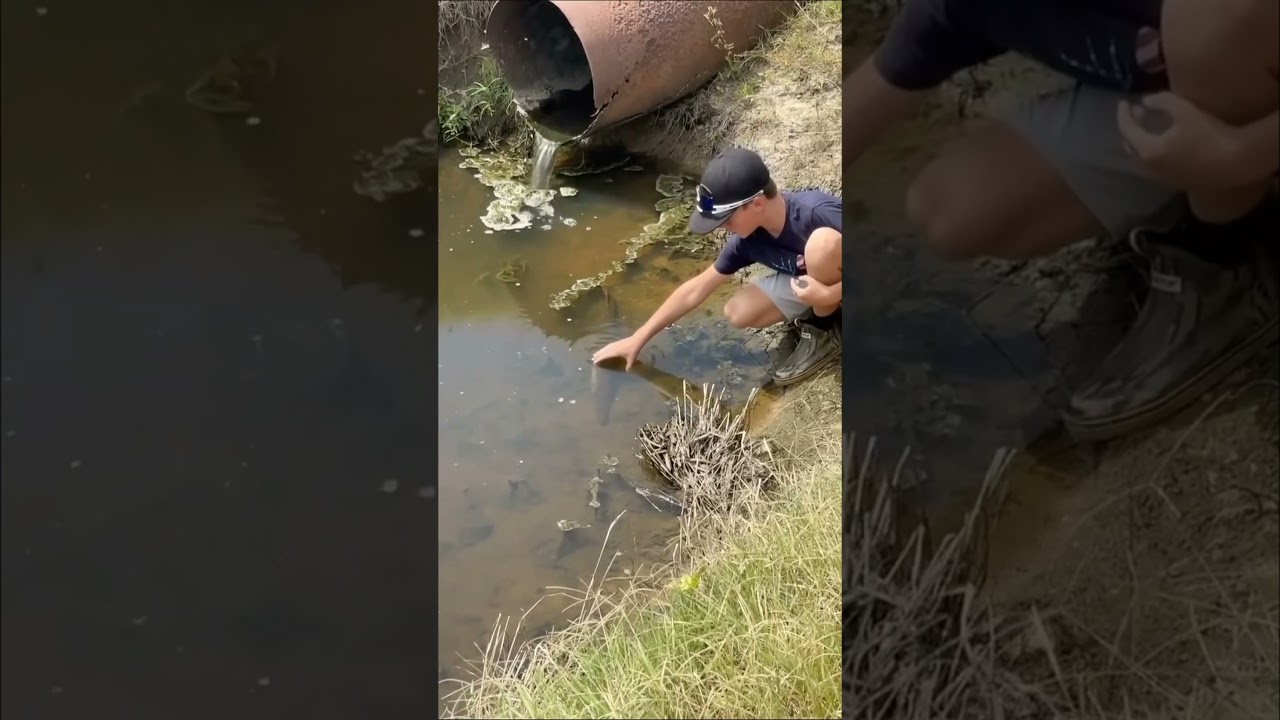 GAROTO PESCA PEIXE COM MÃO NA BEIRA DA ESTRADA