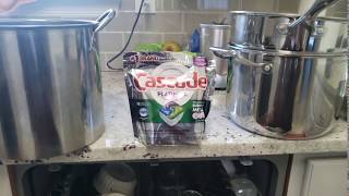 Famous Cascade Platinum packs vs my dirty pots and dishes Net Worth
