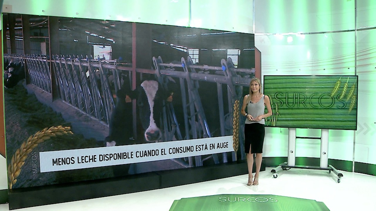 T17/E40: El precio de la leche desciende a pesar de que el consumo aumenta