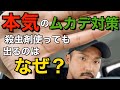 【ムカデ対策】本気で対策したい人向け！出る家は○○をしていない