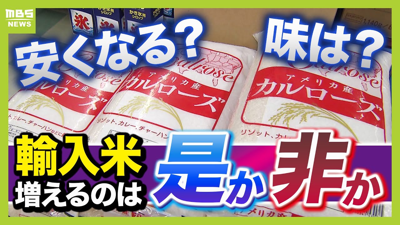 【輸入米が人気！？】増えるとコメ価格は下がる？日米交渉のカードにも？農水大臣は「国内生産が減少してしまう」と懸念　専門家３者の見解は【解説】（2025年4月22日）