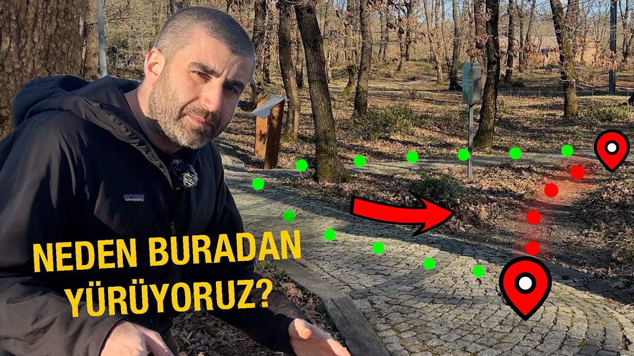 İnsanlar Neden Hep Kestirme Yapar?