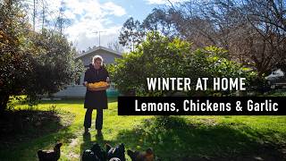 Avoiding Brutal Winter Mistakes that will Ruin your Spring Garden