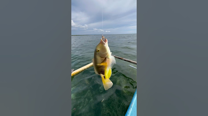 Pergi memancing di tengah laut