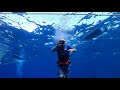Maui snuba diving  incredible pride of maui underwater experience